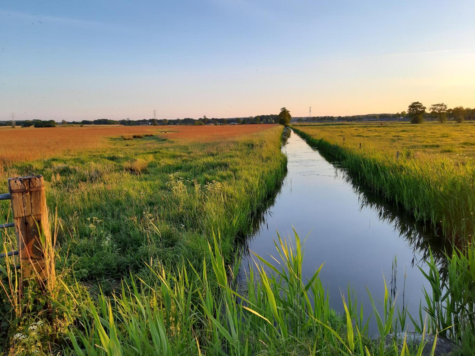 Short Stay Wageningen Eksteriør billede